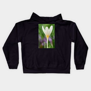 Crocus ochroleucus  Autumn flowering crocus Kids Hoodie